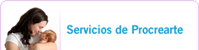 servicios